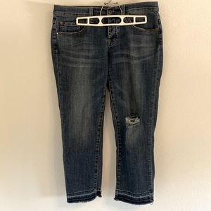 Size 27 Melrose and Market Jeans